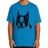 Youth Ultra Cotton ® 100% US Cotton T Shirt Thumbnail