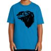 Youth Ultra Cotton ® 100% US Cotton T Shirt Thumbnail