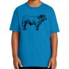 Youth Ultra Cotton ® 100% US Cotton T Shirt Thumbnail