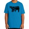 Youth Ultra Cotton ® 100% US Cotton T Shirt Thumbnail