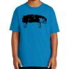 Youth Ultra Cotton ® 100% US Cotton T Shirt Thumbnail