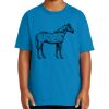 Youth Ultra Cotton ® 100% US Cotton T Shirt Thumbnail