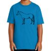 Youth Ultra Cotton ® 100% US Cotton T Shirt Thumbnail
