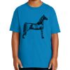 Youth Ultra Cotton ® 100% US Cotton T Shirt Thumbnail
