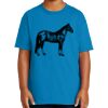 Youth Ultra Cotton ® 100% US Cotton T Shirt Thumbnail