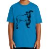 Youth Ultra Cotton ® 100% US Cotton T Shirt Thumbnail