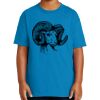 Youth Ultra Cotton ® 100% US Cotton T Shirt Thumbnail