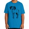 Youth Ultra Cotton ® 100% US Cotton T Shirt Thumbnail