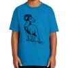 Youth Ultra Cotton ® 100% US Cotton T Shirt Thumbnail