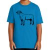 Youth Ultra Cotton ® 100% US Cotton T Shirt Thumbnail