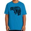 Youth Ultra Cotton ® 100% US Cotton T Shirt Thumbnail