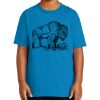 Youth Ultra Cotton ® 100% US Cotton T Shirt Thumbnail