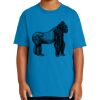 Youth Ultra Cotton ® 100% US Cotton T Shirt Thumbnail