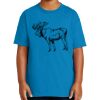 Youth Ultra Cotton ® 100% US Cotton T Shirt Thumbnail