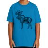 Youth Ultra Cotton ® 100% US Cotton T Shirt Thumbnail