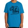 Youth Ultra Cotton ® 100% US Cotton T Shirt Thumbnail
