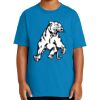Youth Ultra Cotton ® 100% US Cotton T Shirt Thumbnail