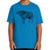 Youth Ultra Cotton ® 100% US Cotton T Shirt Thumbnail
