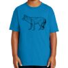 Youth Ultra Cotton ® 100% US Cotton T Shirt Thumbnail
