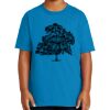 Youth Ultra Cotton ® 100% US Cotton T Shirt Thumbnail
