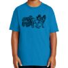 Youth Ultra Cotton ® 100% US Cotton T Shirt Thumbnail