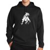 Sport Wick ® Fleece Hooded Pullover Thumbnail