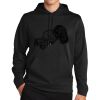 Sport Wick ® Fleece Hooded Pullover Thumbnail