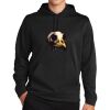 Sport Wick ® Fleece Hooded Pullover Thumbnail