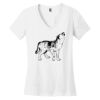 Women's Perfect Weight ® V Neck Tee Thumbnail