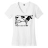 Women's Perfect Weight ® V Neck Tee Thumbnail