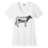 Women's Perfect Weight ® V Neck Tee Thumbnail