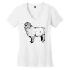 Women's Perfect Weight ® V Neck Tee Thumbnail