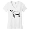 Women's Perfect Weight ® V Neck Tee Thumbnail