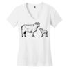 Women's Perfect Weight ® V Neck Tee Thumbnail