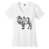 Women's Perfect Weight ® V Neck Tee Thumbnail