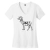 Women's Perfect Weight ® V Neck Tee Thumbnail