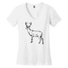 Women's Perfect Weight ® V Neck Tee Thumbnail